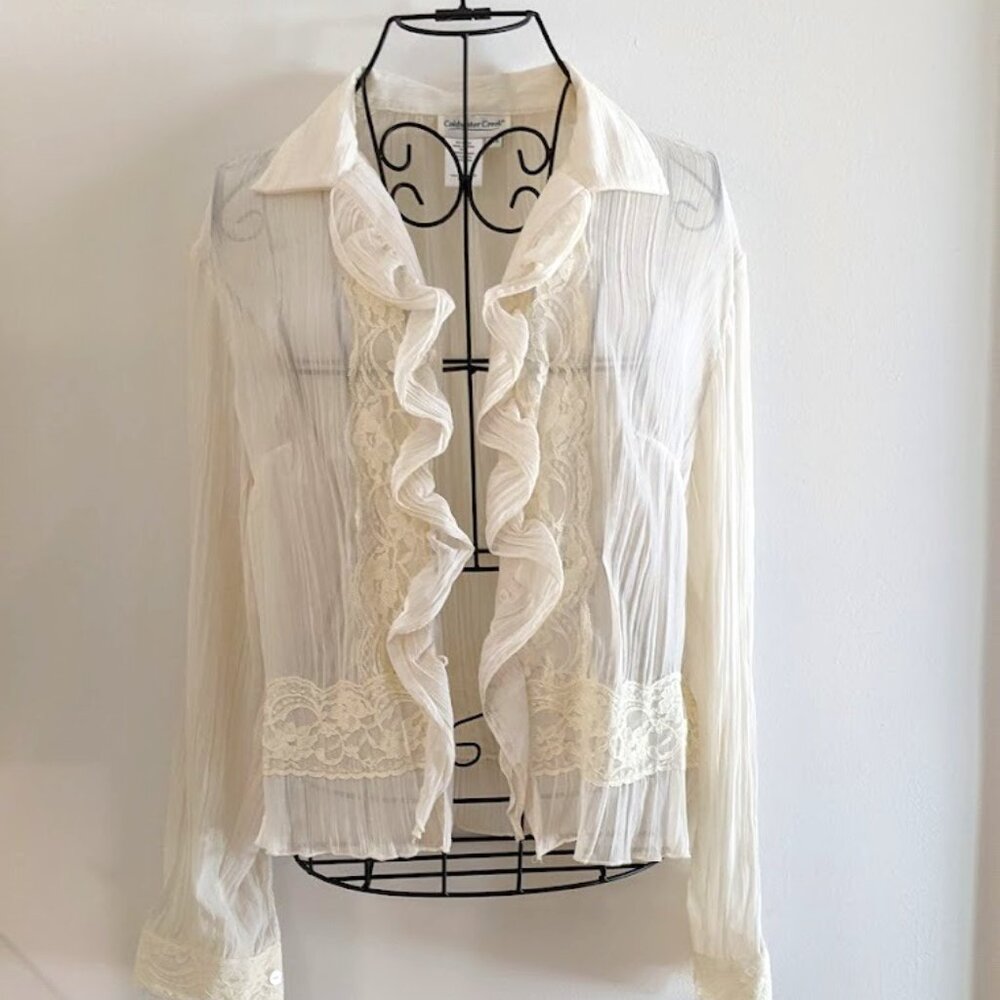 Sheer Lace Blouse